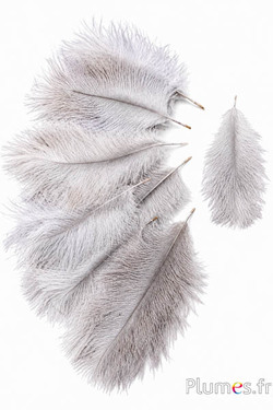 Struisvogel Bellies -8-13 cm - natuurlijk 